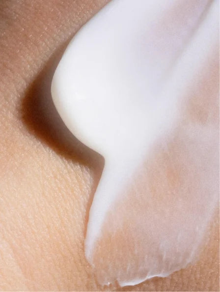 Crème Hydratante Jour